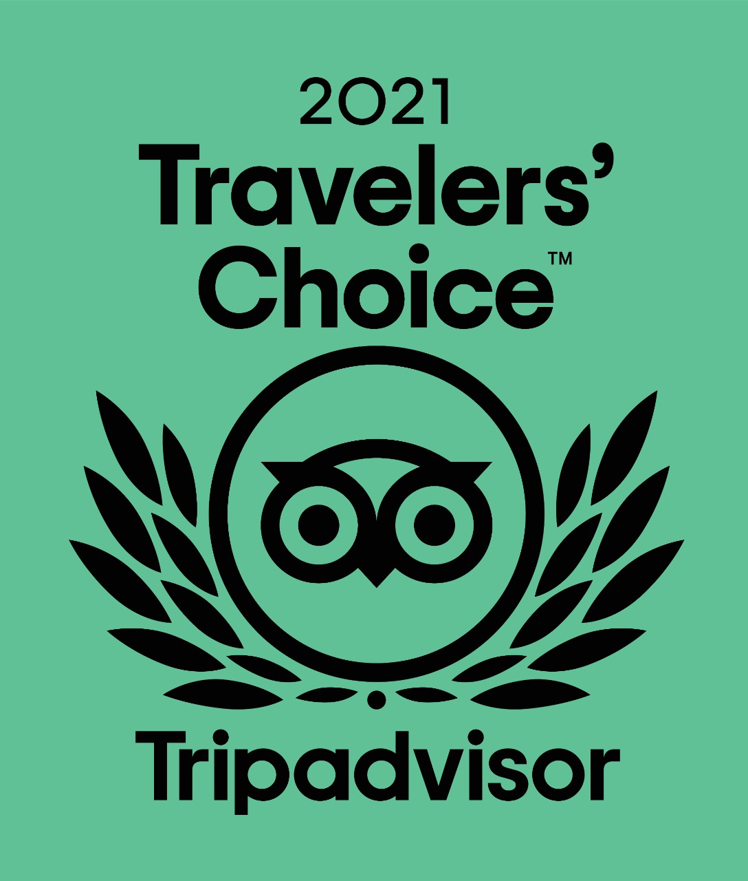 Trip Advisor